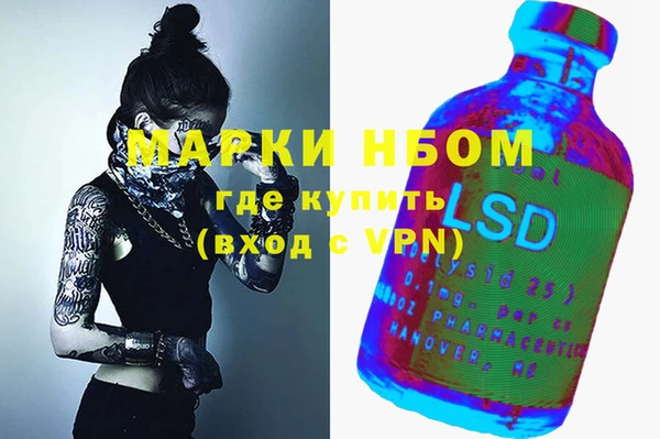 apvp Алзамай