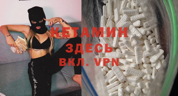 гашик Болотное