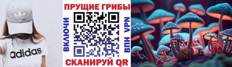 наркота OMG ONION Псилоцибиновые грибы прущие грибы Южно-Сухокумск
